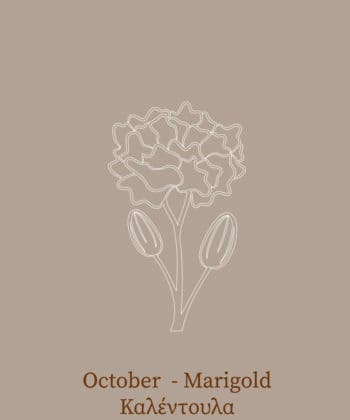 Κολιέ ασήμι λουλούδι γέννησης - Οκτώβριος