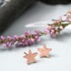 Σκουλαρίκια ασήμι ροζ επιχρύσωμα αστέρια