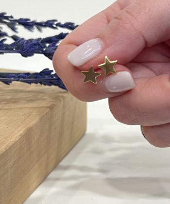 Gold plated silver stud earrings star 4